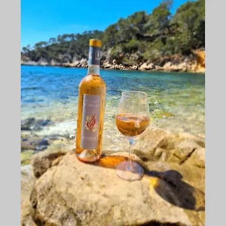 T1 Bis Climatise / Parking / Proche Des Plages